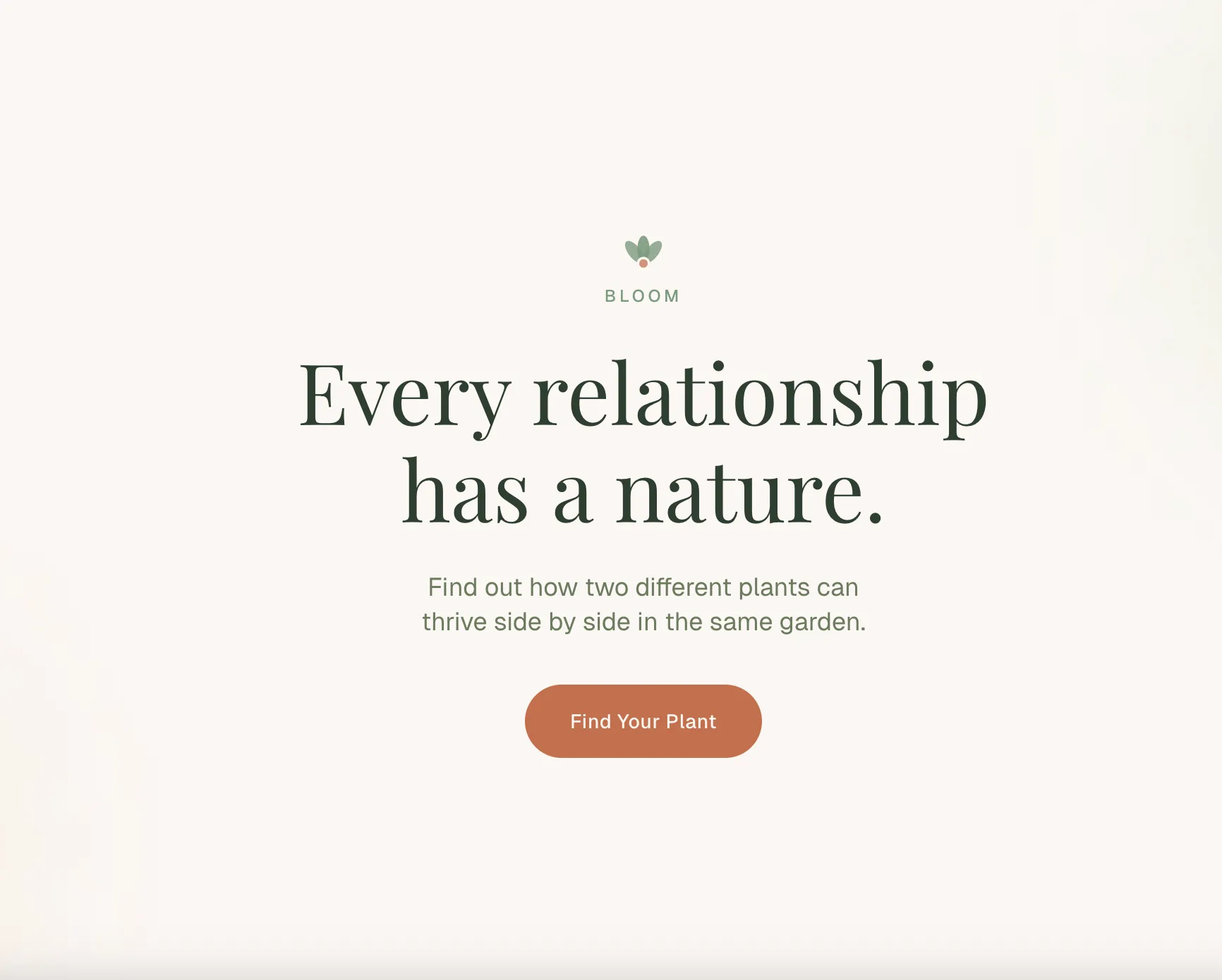 V1 results page: Monstera meets Chinese Elephant Ear, two partner cards side by side